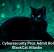 U.S. Cybersecurity Pros Admit Role in BlackCat Attacks